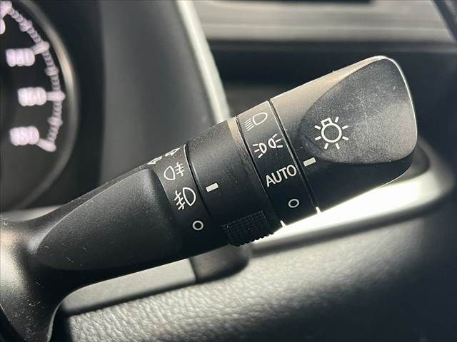 TOYOTA ALPHARD 2016 Image 31