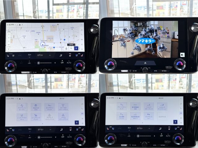 TOYOTA LEXUS LM500H 2024 Image 31