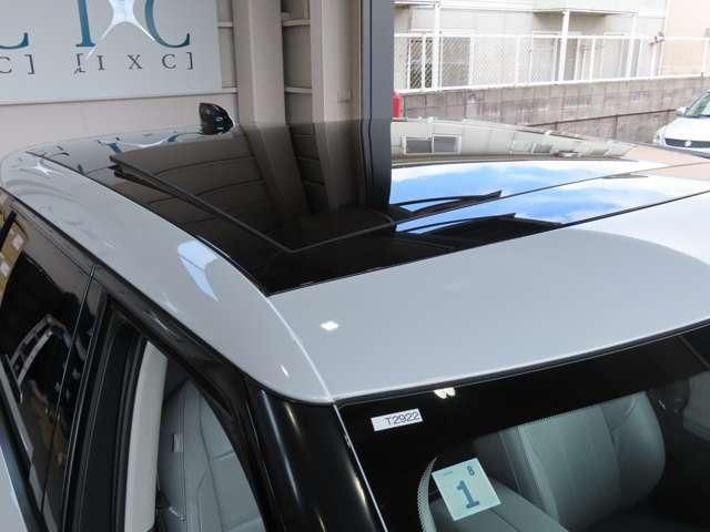 ROVER RANGE  EV 2021 Image 31