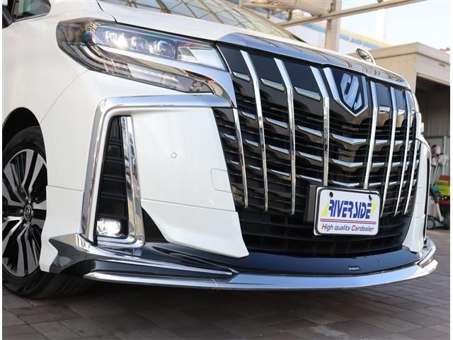 TOYOTA ALPHARD 2021 Image 31