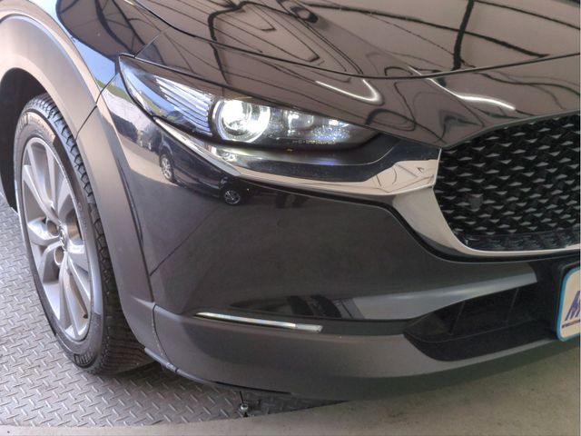 MAZDA CX-30 2020 Image 31