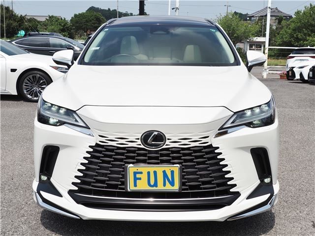 TOYOTA LEXUS RX450H+ 2023 Image 31