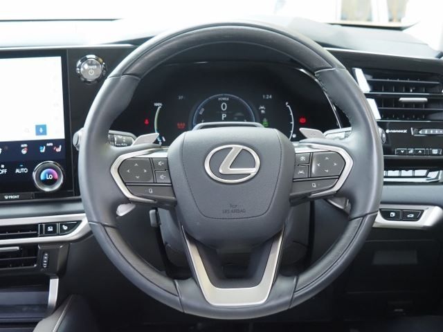 TOYOTA LEXUS RX450H+ 2023 Image 31