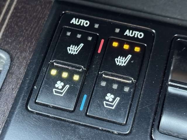 TOYOTA LEXUS RX450H 2WD 2021 Image 31