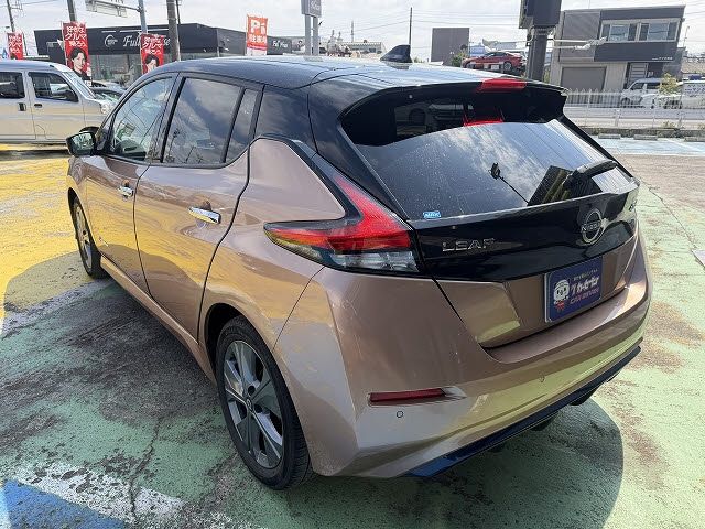 NISSAN LEAF 2021 Image 31