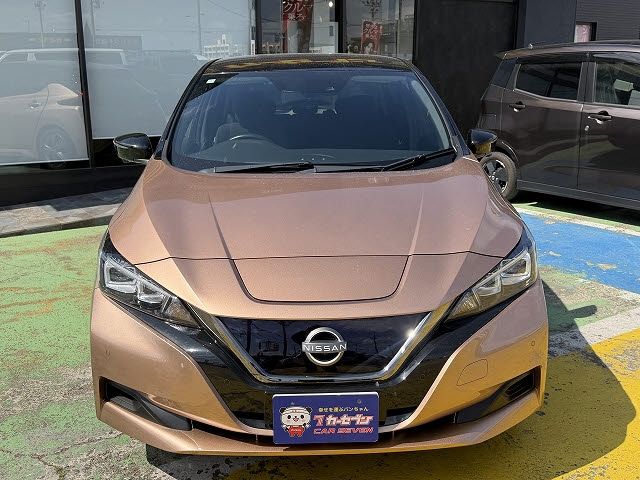 NISSAN LEAF 2021 Image 31