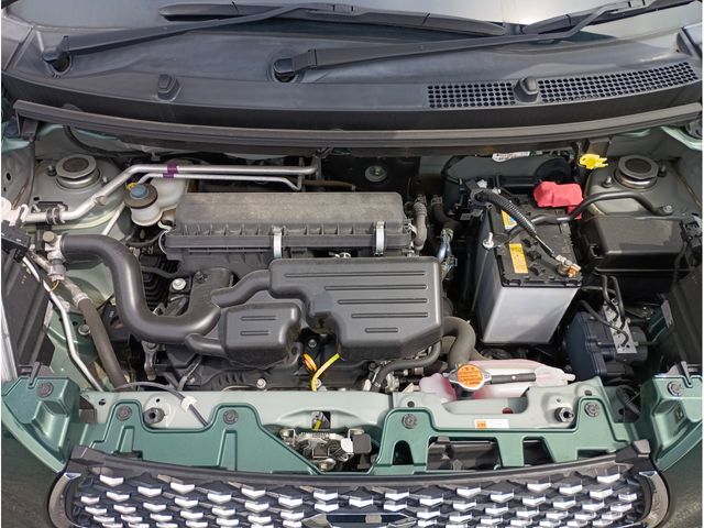 DAIHATSU CAST STYLE 2021 Image 31