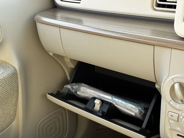 SUZUKI ALTO LAPIN 2019 Image 31