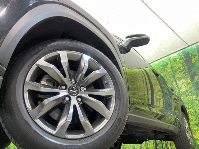 TOYOTA LEXUS NX300H AWD 2018 Image 31