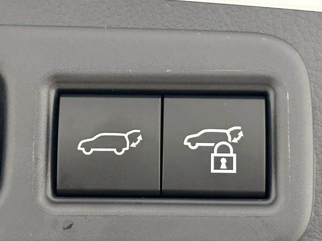 TOYOTA LEXUS RX500H 2023 Image 31