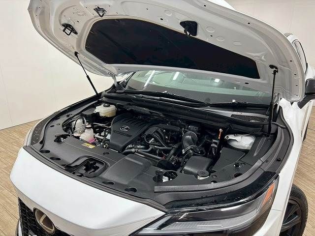 TOYOTA LEXUS RX500H 2023 Image 31