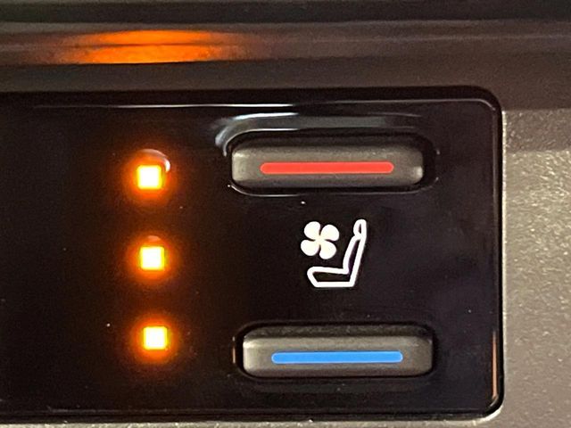 TOYOTA RAV4 4WD 2021 Image 31