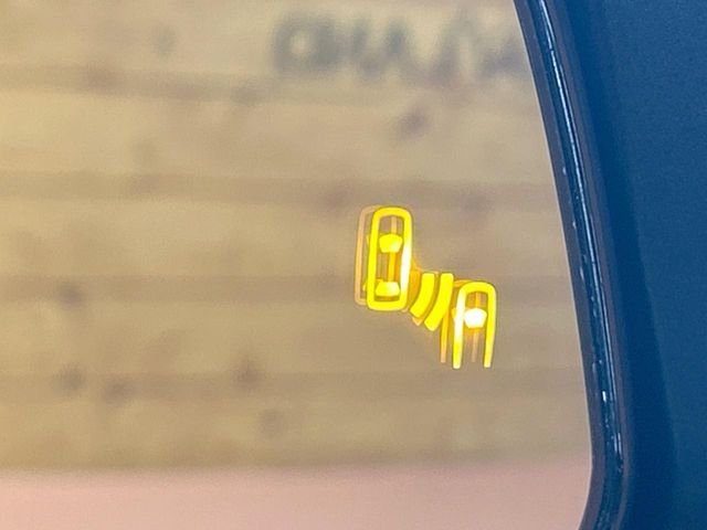 TOYOTA RAV4 4WD 2024 Image 31