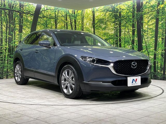 MAZDA CX-30 2019 Image 31