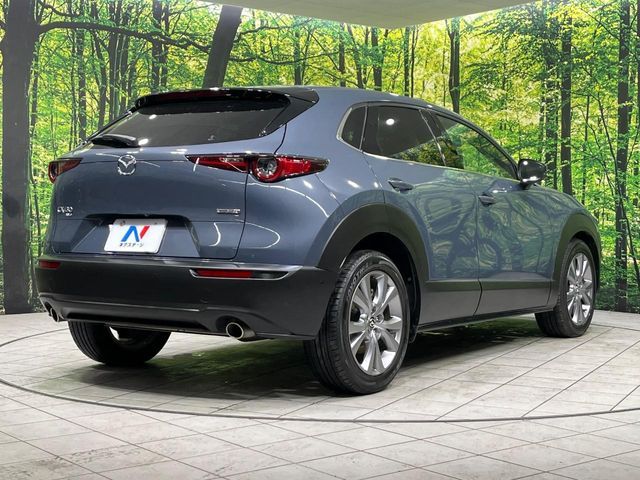 MAZDA CX-30 2019 Image 31