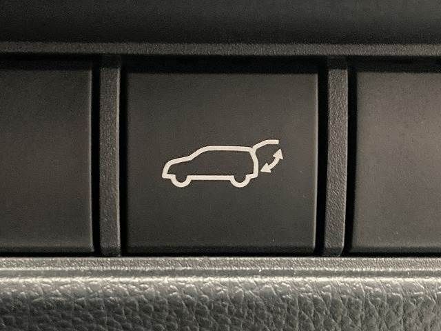 TOYOTA LANDCRUISER 250 2024 Image 31