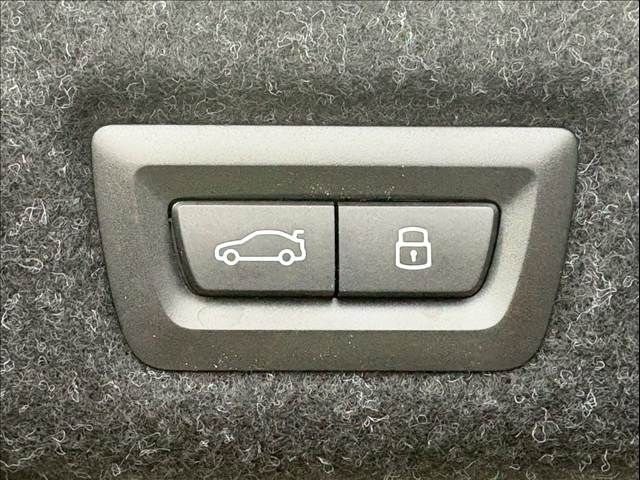 BMW 5SERIES SEDAN 2024 Image 31