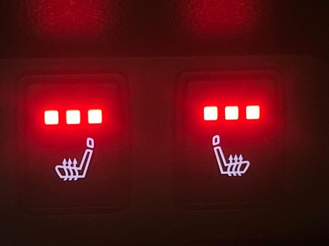 NISSAN X-TRAIL HYBRID 4WD 2023 Image 31