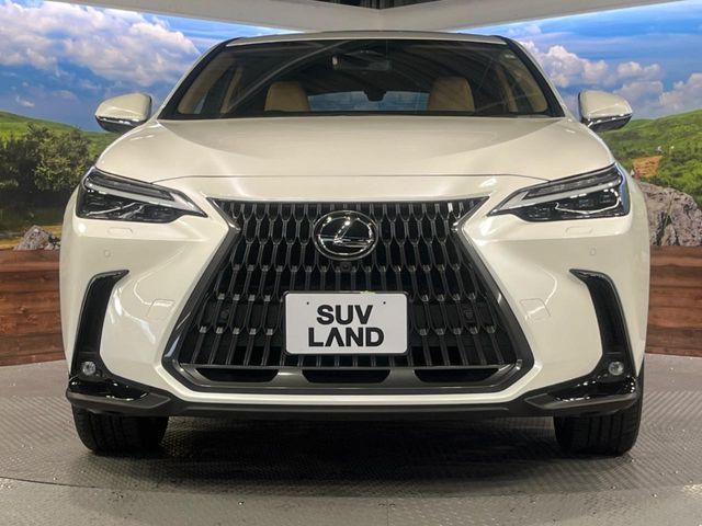 TOYOTA LEXUS NX350H 2023 Image 31