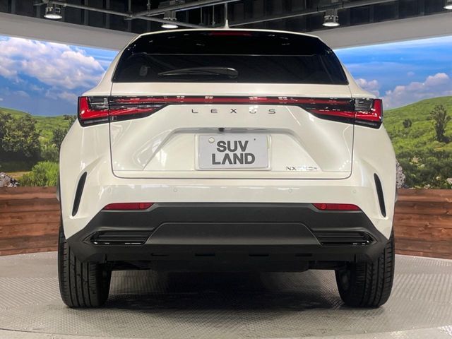 TOYOTA LEXUS NX350H 2023 Image 31