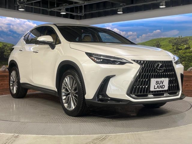 TOYOTA LEXUS NX350H 2023 Image 31