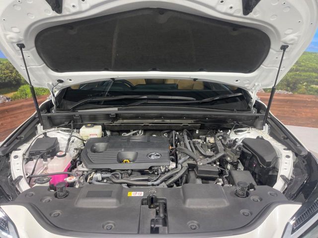 TOYOTA LEXUS NX350H 2023 Image 31