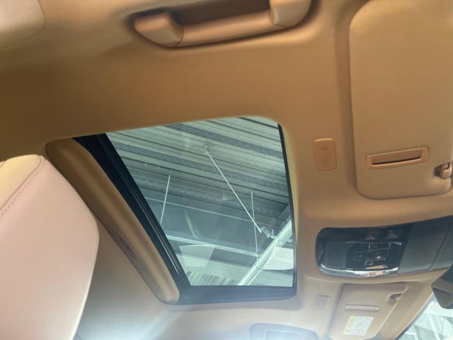 TOYOTA LEXUS NX250 2025 Image 31