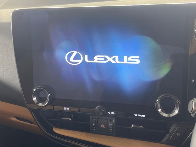 TOYOTA LEXUS NX250 2025 Image 31