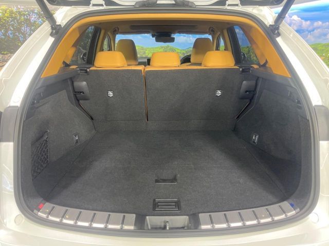 TOYOTA LEXUS NX250 2025 Image 31