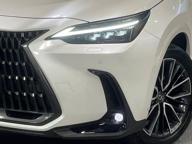 TOYOTA LEXUS NX250 2025 Image 31