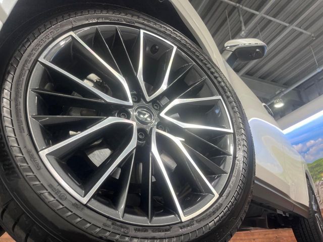 TOYOTA LEXUS NX250 2025 Image 31