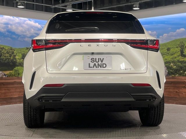 TOYOTA LEXUS NX250 2025 Image 31