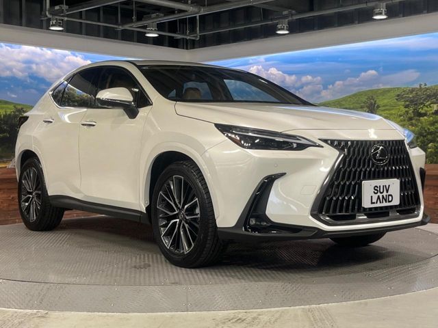 TOYOTA LEXUS NX250 2025 Image 31