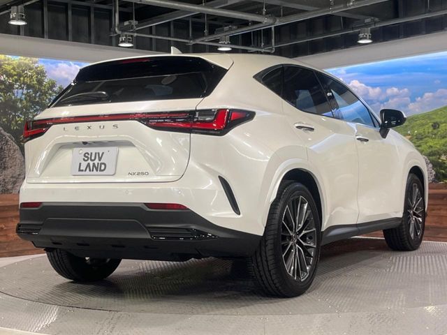 TOYOTA LEXUS NX250 2025 Image 31