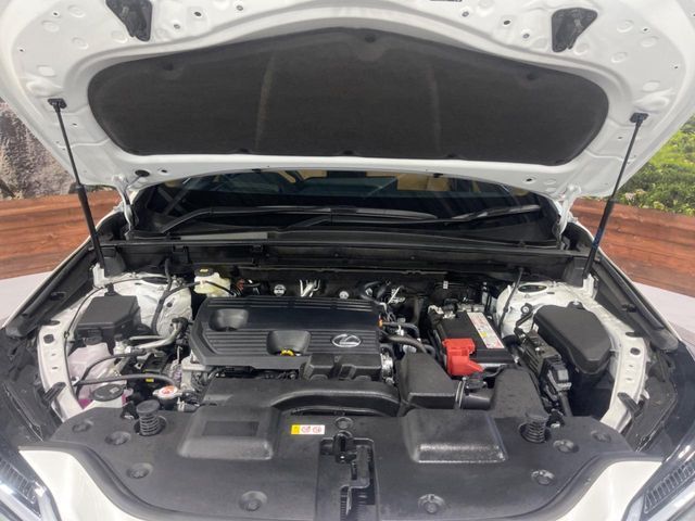 TOYOTA LEXUS NX250 2025 Image 31