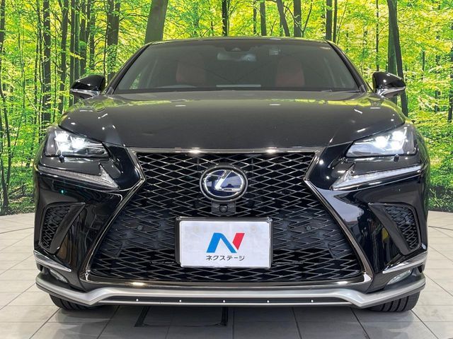 TOYOTA LEXUS NX300H 2018 Image 31