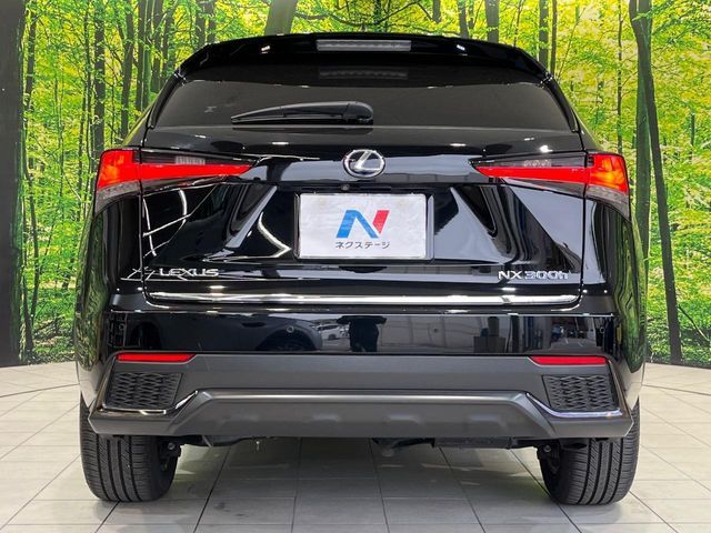 TOYOTA LEXUS NX300H 2018 Image 31