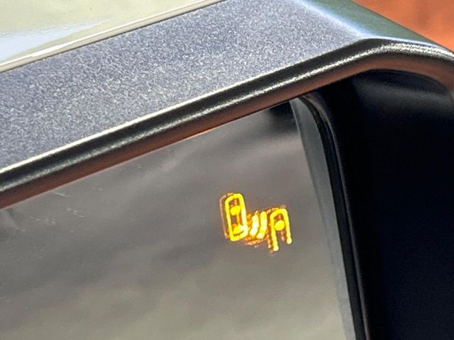 TOYOTA LANDCRUISER 250 2024 Image 31