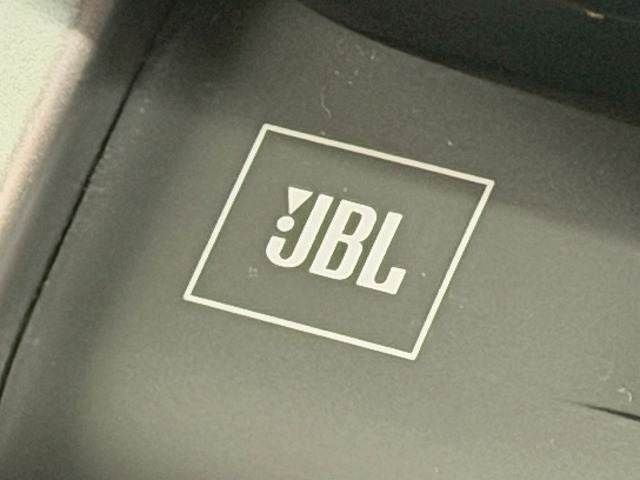 TOYOTA LANDCRUISER WAGON 2024 Image 31