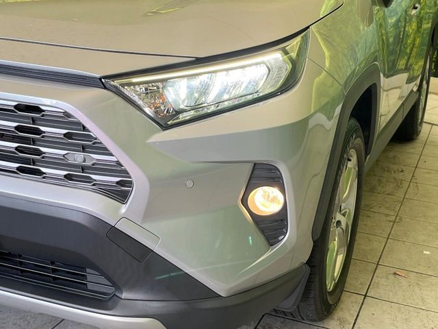 TOYOTA RAV4 4WD 2019 Image 31