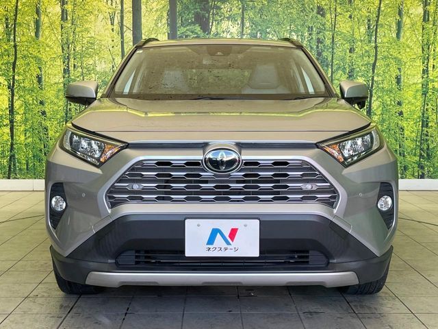 TOYOTA RAV4 4WD 2019 Image 31
