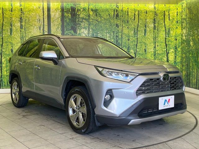 TOYOTA RAV4 4WD 2019 Image 31