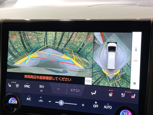 TOYOTA ALPHARD HYBRID 2024 Image 31