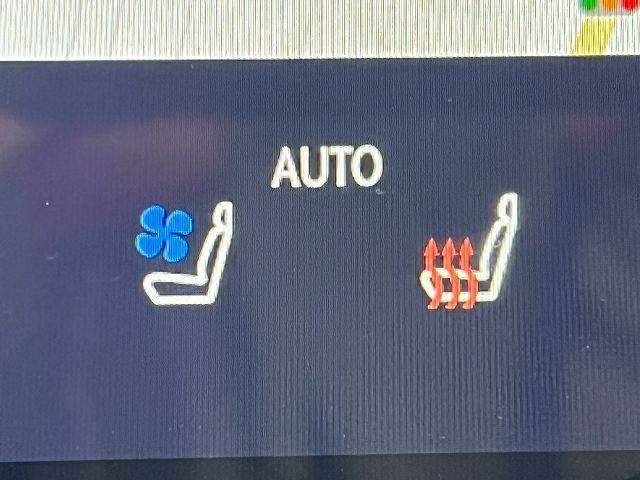 TOYOTA LEXUS NX350H AWD 2023 Image 31