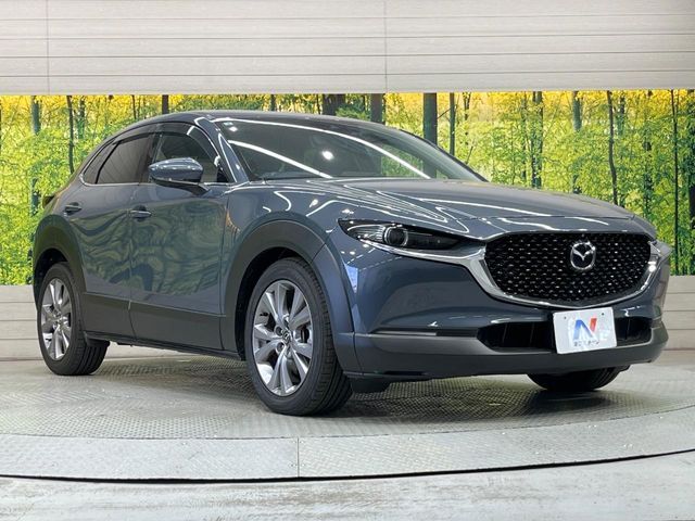 MAZDA CX-30 2019 Image 31