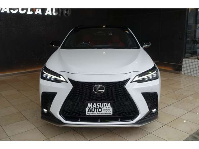 TOYOTA LEXUS NX350H AWD 2023 Image 31