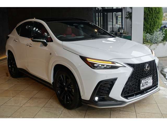 TOYOTA LEXUS NX350H AWD 2023 Image 31