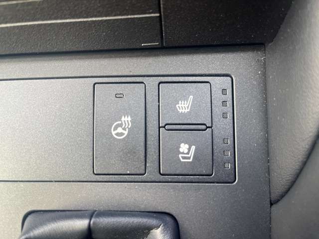 TOYOTA LEXUS RC300 2020 Image 31