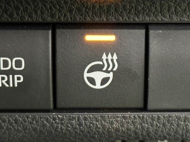 TOYOTA RAV4 4WD 2023 Image 31