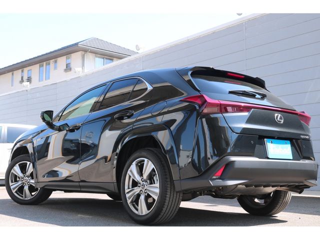 TOYOTA LEXUS UX250H 2023 Image 31